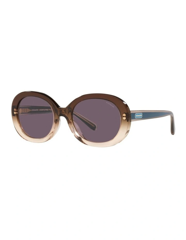 HC8337U C7992 Beige Sunglasses