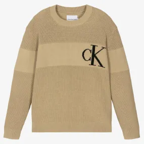 Teen Boys Beige Knitted Jumper